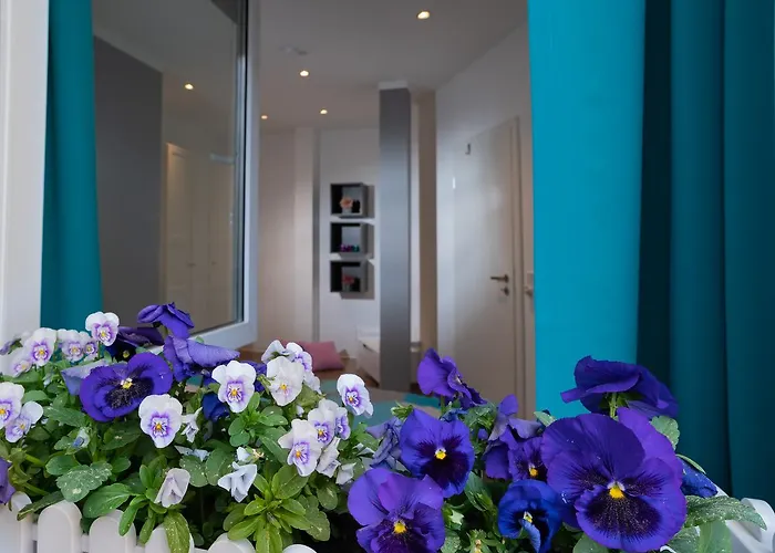 Appartement Tom's 2 *